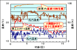 養生温度・湿度の経時変化図
