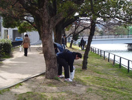 d-2011-4-01.jpg