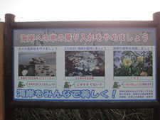 D-2012-1-01.jpg