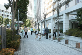 D-2012-3-01.jpg