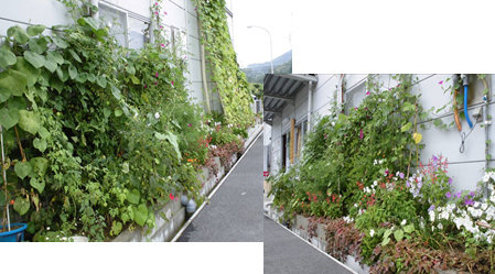 ishikikoujou_25