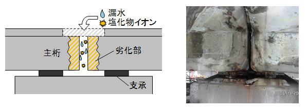 写真-1 主桁端部の劣化状況