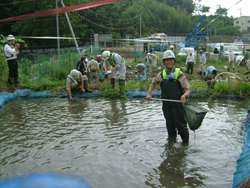 写真-2 仮移設池でのカワニナ捕獲大作戦